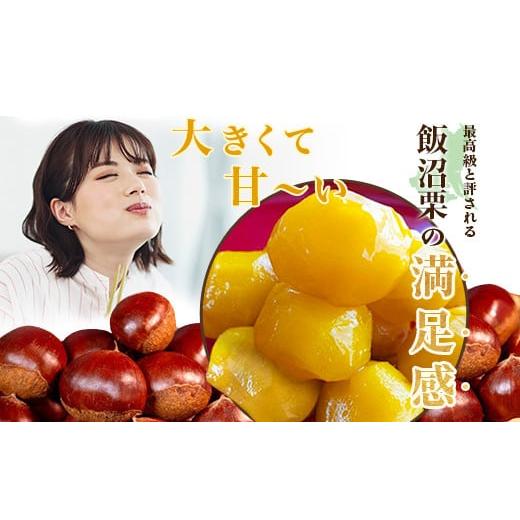 ふるさと納税 果物類 栗 茨城県 茨城町 029 飯沼栗 2kg 高級 茨城町産