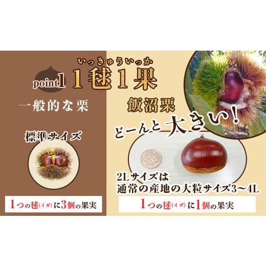 ふるさと納税 果物類 栗 茨城県 茨城町 029 飯沼栗 2kg 高級 茨城町産