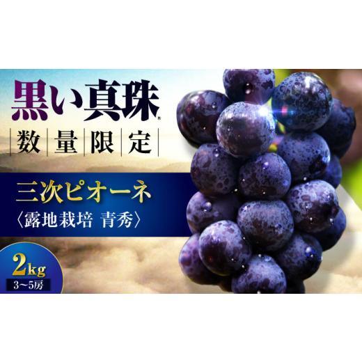 ふるさと納税 果物類 ぶどう 広島県 三次市 先行予約 三次ピオーネ 露地栽培 青秀 2kg (3〜5房) 8月下旬以降順次発送 ぶどう ピオーネ 葡萄 ブドウ 黒ぶど…