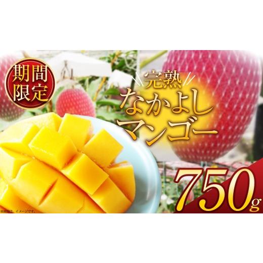 ふるさと納税 マンゴー 栃木県 那珂川町 期間限定 完熟なかよし マンゴー 約750g | トランスイート 四季島 TRAIN SUITE 四季島 電車 果物 甘い 完熟 マンゴー…