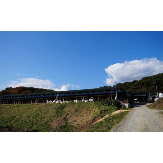 ふるさと納税 自治体にお任せ 福島県 大玉村 国産 黒毛和牛 あだたら酵母牛 すき焼き しゃぶしゃぶ モモ肉 500g 赤身 牛肉 冷凍 ブランド和牛 焼肉 牛丼用 贈… |  | 07