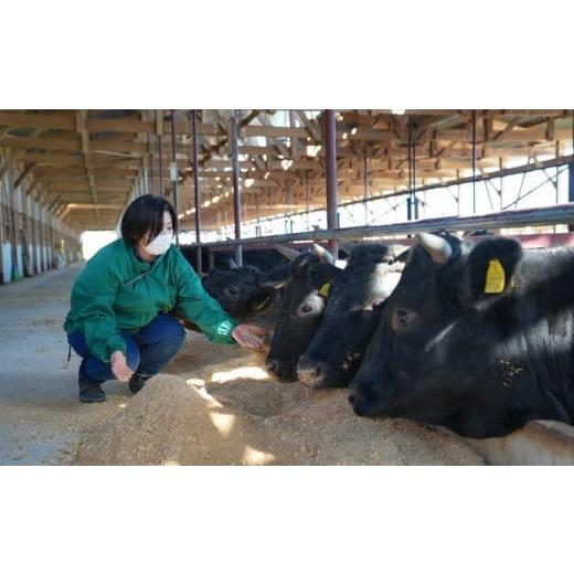 ふるさと納税 自治体にお任せ 福島県 大玉村 国産 黒毛和牛 あだたら酵母牛 すき焼き しゃぶしゃぶ モモ肉 500g 赤身 牛肉 冷凍 ブランド和牛 焼肉 牛丼用 贈… |  | 08