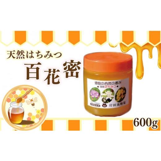 ふるさと納税 加工品等 はちみつ 徳島県 吉野川市 はちみつ 百花蜜 600g 天然はちみつ 蜂蜜 健康食品 美容 食品 栄養豊富 ギフト 贈答 人気 はちみつ お取り寄…