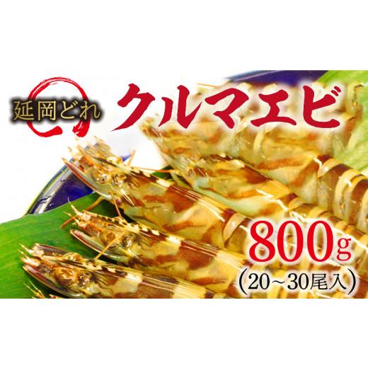 ふるさと納税 宮崎県 延岡市 延岡どれクルマエビ　Ｎ017-ZB916 