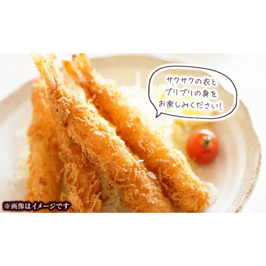 ふるさと納税 宮崎県 延岡市 延岡どれクルマエビ　Ｎ017-ZB916 