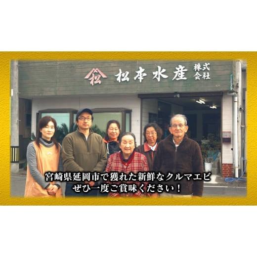 ふるさと納税 宮崎県 延岡市 延岡どれクルマエビ　Ｎ017-ZB916 