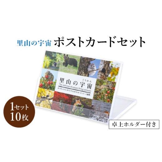 ふるさと納税 雑貨・日用品 はがき 北海道 遠別町 泊和幸 ポストカードセット(動物) 動物
