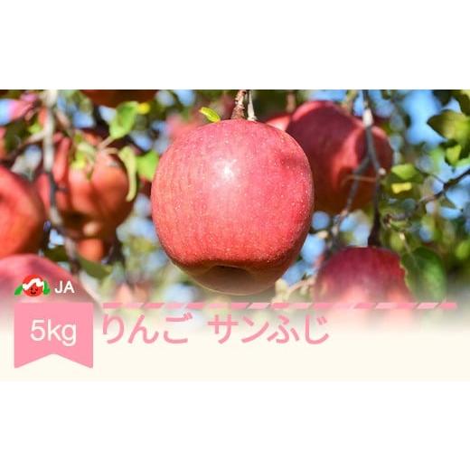ふるさと納税 りんご 山形県 村山市 先行予約 りんご サンふじ 約5kg 秀 2026年産 令和8年産 沖縄・離島への配送不可 ja-risfx5