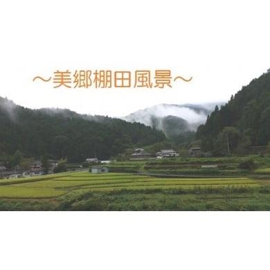 ふるさと納税 徳島県 吉野川市 吉野川市美郷の棚田米(コシヒカリ:玄米, 白米各2kg)