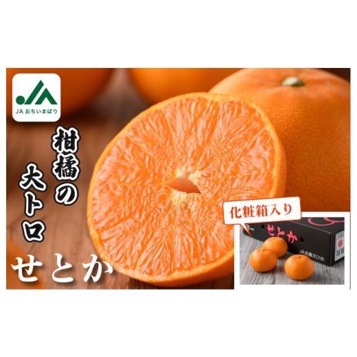 ふるさと納税 果物類 みかん 愛媛県 今治市 先行予約 数量限定 せとか 化粧箱 3L〜L 10〜15玉 KC00630 とろけるやわらかな果肉が特長 みかん 柑橘 せとか フ…