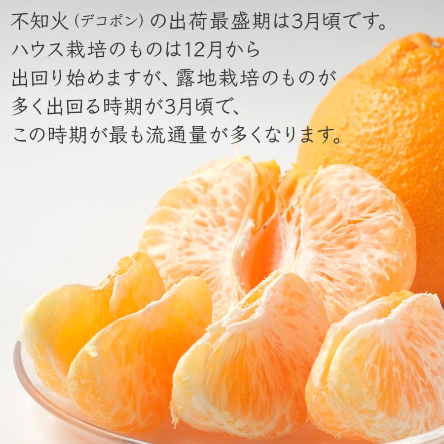不知火 デコポン同品種 秀品 2.5~3.0kg 7~10玉 2L~4L 熊本 愛媛 和歌山