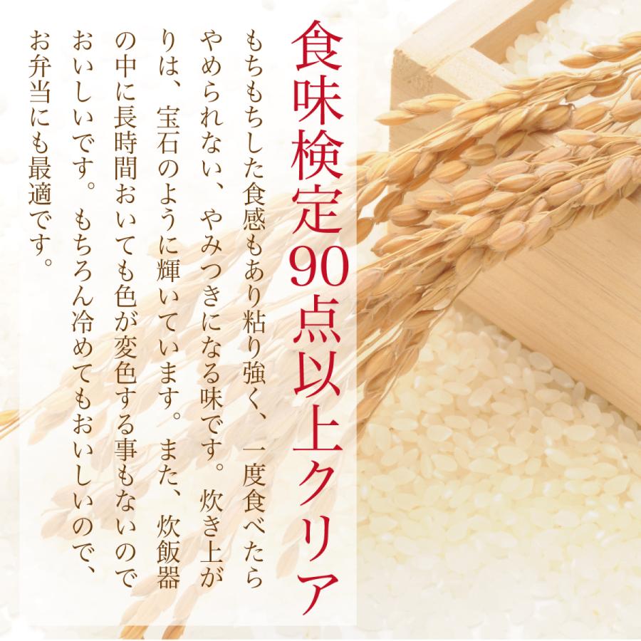 米 10kg (5kg×2) 令和5年産 コシヒカリ 特A 五ツ星お米マイスター 食味検定90点以上 精米 白米 常陸 小田米 茨城県産 筑波農場｜furusatofarm｜02