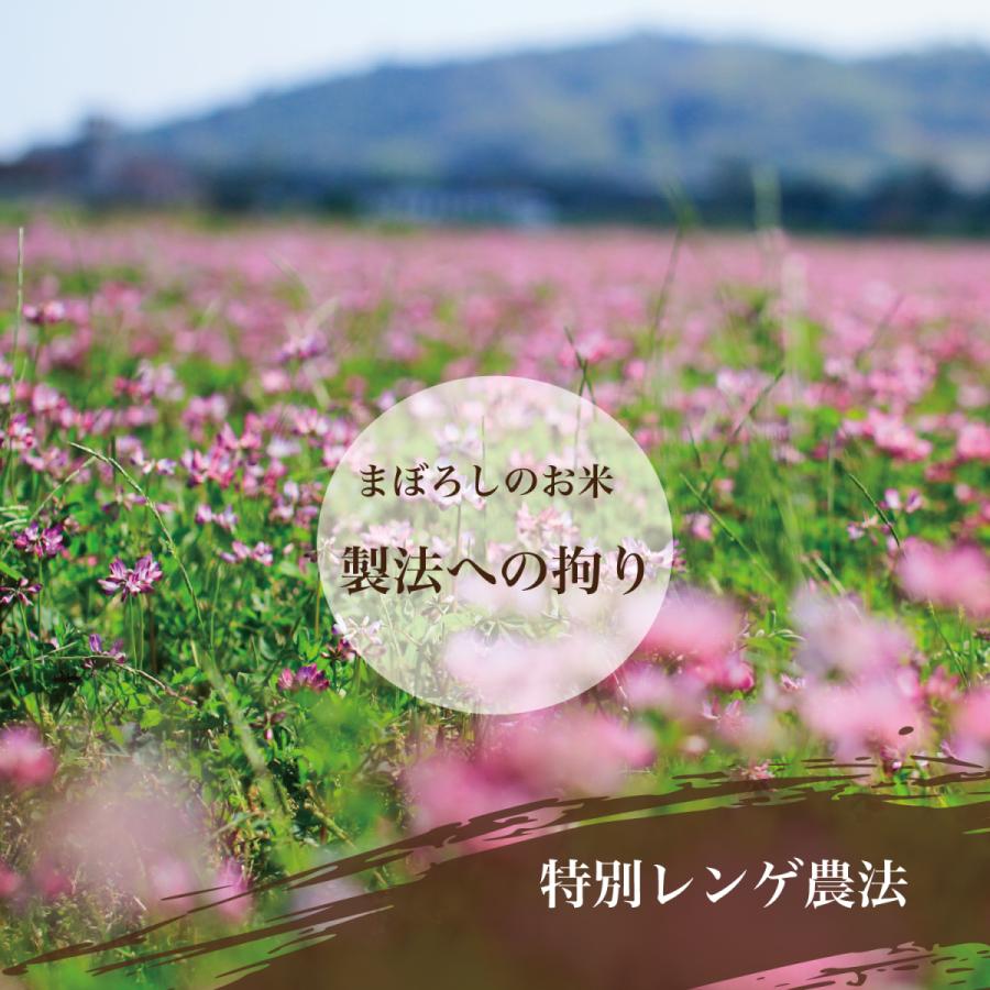 コシヒカリ 精米 10kg (5kg×2) 令和6年産 特A 五ツ星お米マイ コシヒカリ 精米 10kg (5kg×2) 令和6年産 特A 五ツ星お米マイ