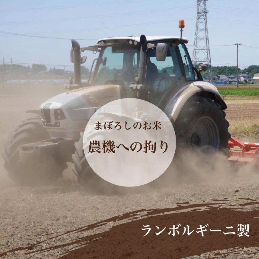 コシヒカリ 精米 10kg (5kg×2) 令和6年産 特A 五ツ星お米マイ コシヒカリ 精米 10kg (5kg×2) 令和6年産 特A 五ツ星お米マイ