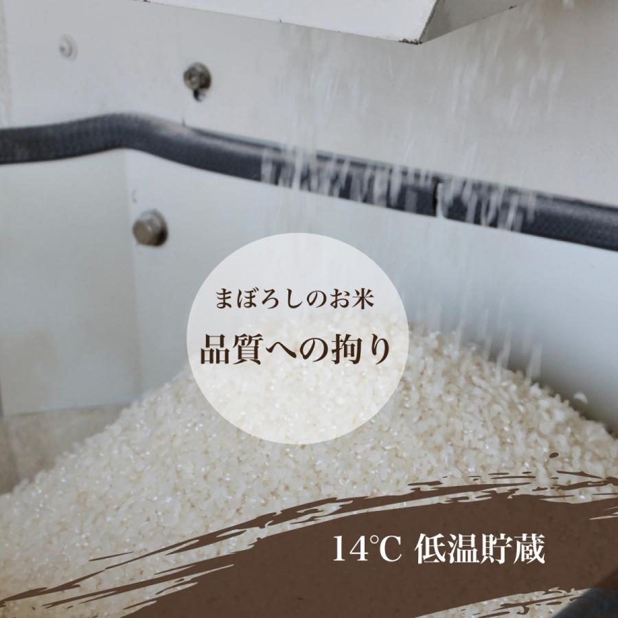 コシヒカリ 精米 10kg (5kg×2) 令和6年産 特A 五ツ星お米マイ コシヒカリ 精米 10kg (5kg×2) 令和6年産 特A 五ツ星お米マイ