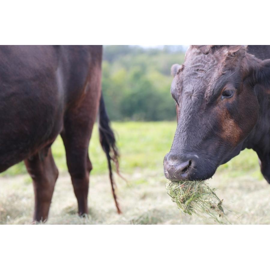 米沢牛 切り落とし 1kg A5 A4 ランク 高級 黒毛和牛肉 すき焼き しゃぶしゃぶ ご当地 贈り物 お歳暮 お中元 内祝い 贈答 ギフト｜furusatofarm｜07