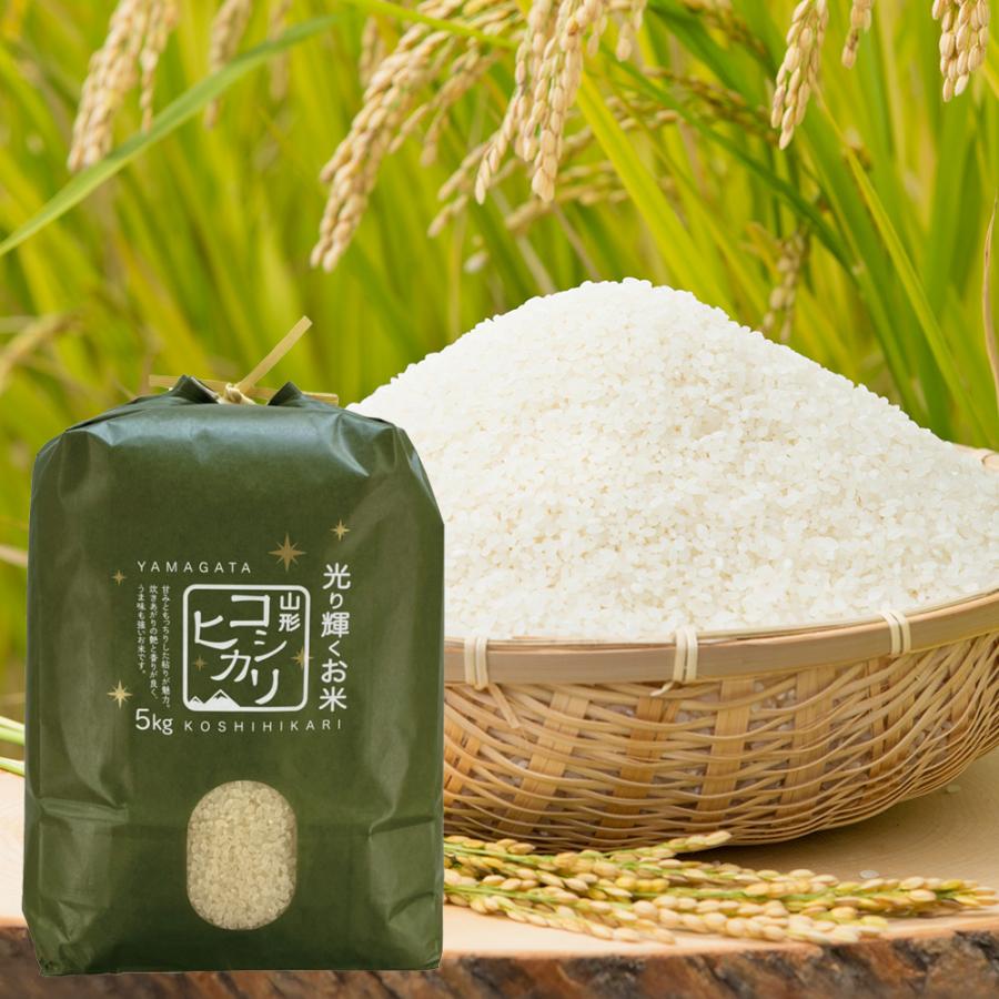コシヒカリ 精米 令和7年産 山形県産 10kg (5kg×2) 白米 精米