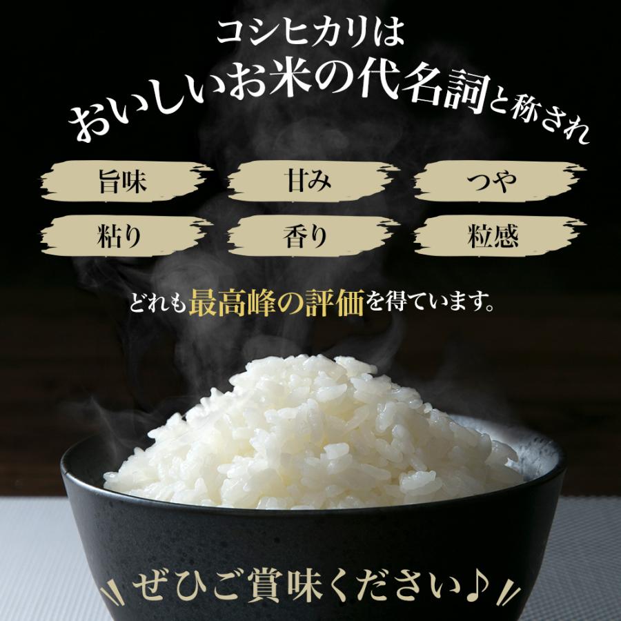 コシヒカリ 精米 令和7年産 山形県産 10kg (5kg×2) 白米 精米