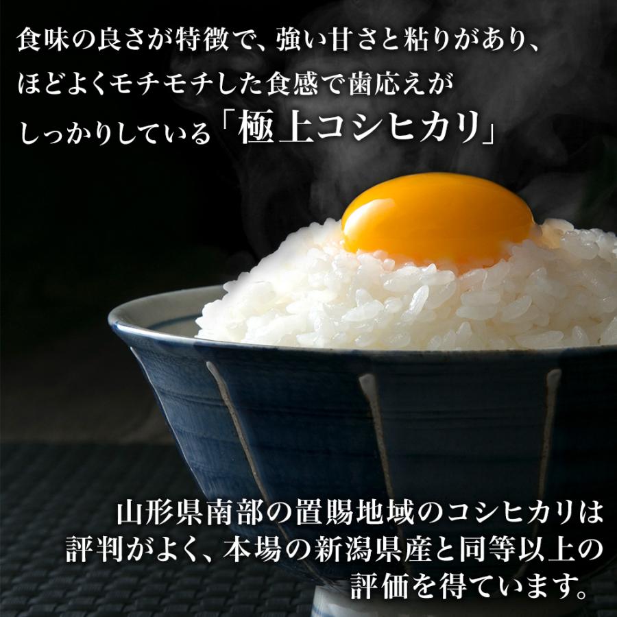 コシヒカリ 精米 令和7年産 山形県産 10kg (5kg×2) 白米 精米