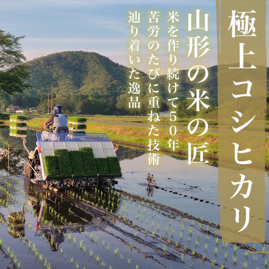 コシヒカリ 精米 令和7年産 山形県産 10kg (5kg×2) 白米 精米