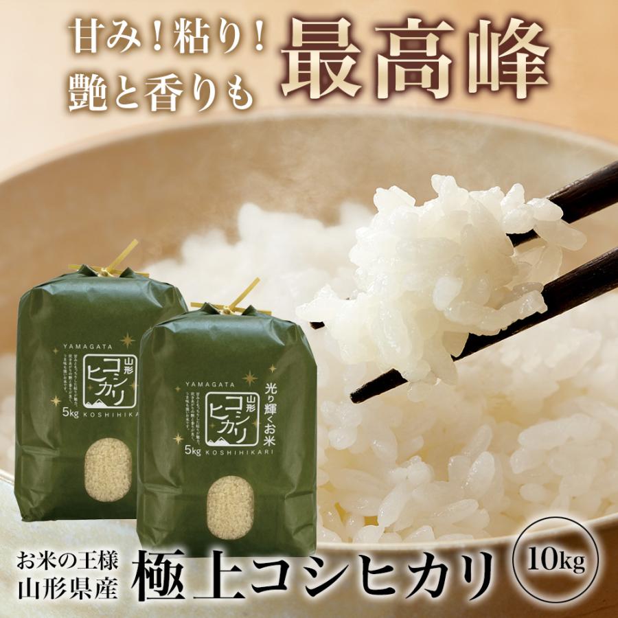山形県産 コシヒカリ 10kg (5kg×2) コシヒカリ 精米 令和7年産 山形県産 10kg (5kg×2) 白米 精米