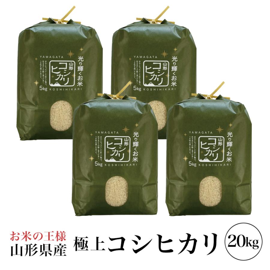 令和7年　コシヒカリ 20kg 白米 コシヒカリ お米 20kg 白米 送料無料 令和7年産 新潟県産コシヒカリ