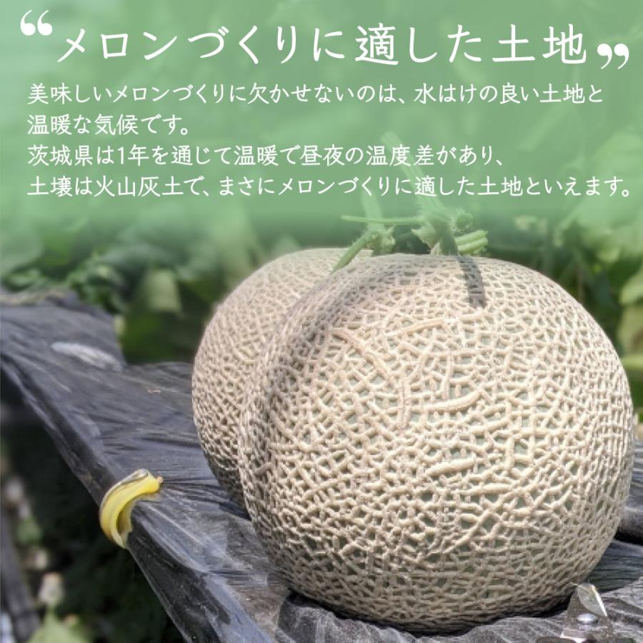 メロン 大玉 5kg 3~4L 3~4玉 優品以上 クインシーメロン レッドメロン