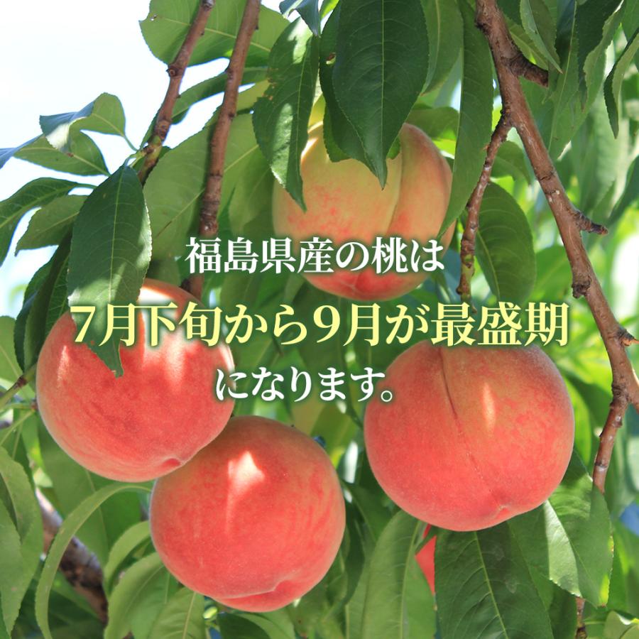 桃 白桃 大玉 特選 秀品 約1.7kg 5-8玉 品種おまかせ 最高級 福島県産