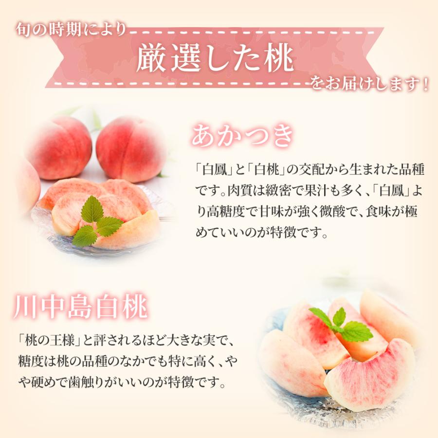 桃 白桃 大玉 特選 秀品 約1.7kg 5-8玉 品種おまかせ 最高級 福島県産