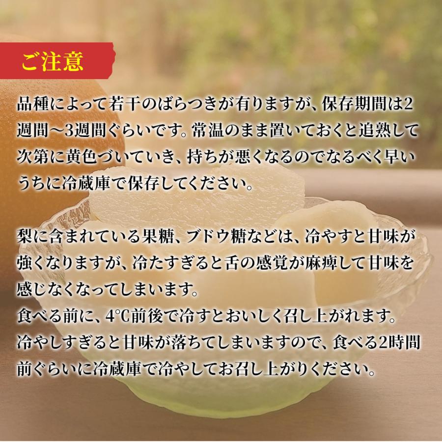 のり玉【知る人ぞ知る】北信州須坂の幸水他　ダイヤモンドセット 梨 約3.5kg 6~10玉 秀品 幸水 豊水 あきづき 新高 千葉県産 船橋 市川