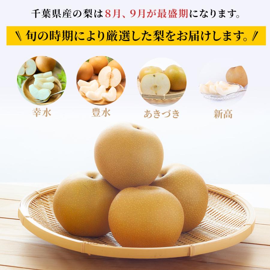 梨 約3.5kg 6~10玉 秀品 幸水 豊水 あきづき 新高 千葉県産 船橋 市川