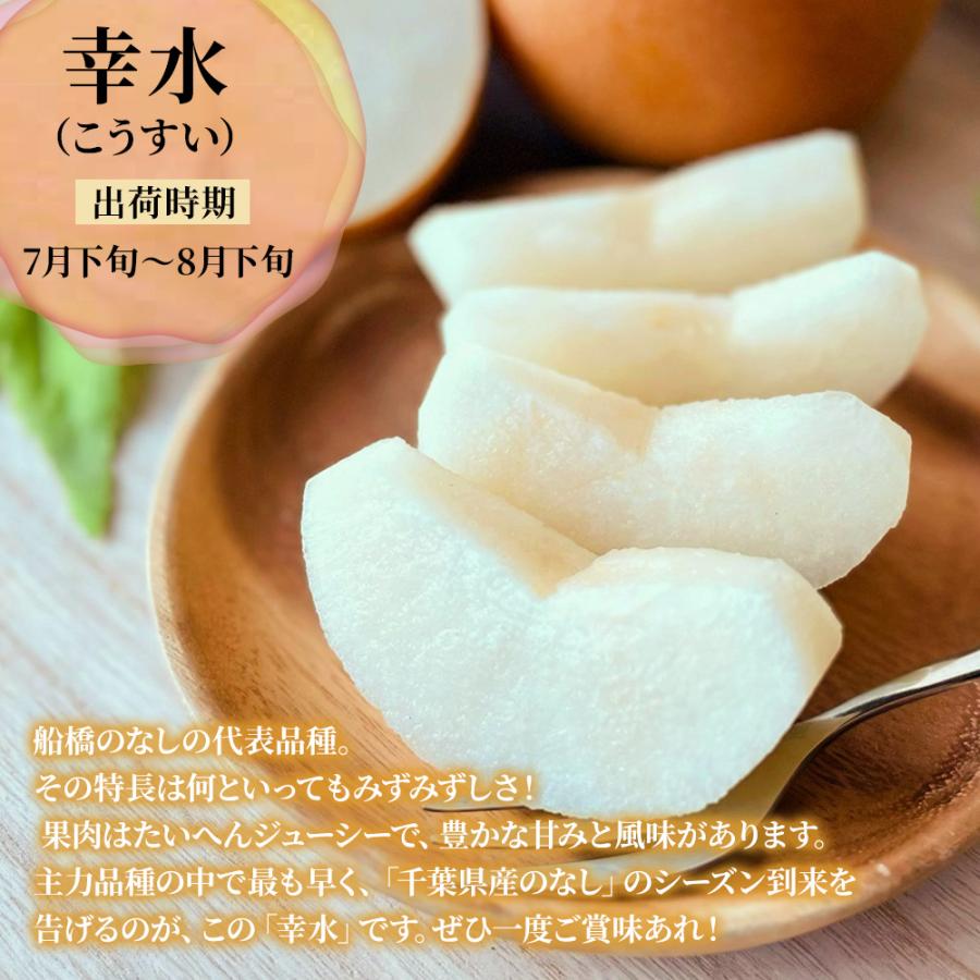 梨 約3.5kg 6~10玉 秀品 幸水 豊水 あきづき 新高 千葉県産 船橋 市川