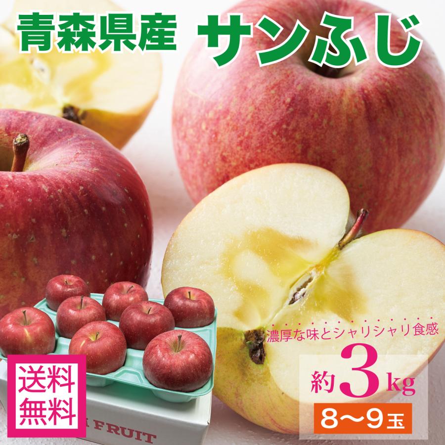 青森県産りんご サンふじ3kg