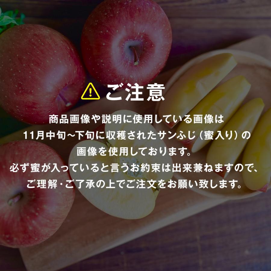 りんご 3kg 7~10玉 特選 秀品 早生ふじ ふじ サンふじ 青森県産 リンゴ