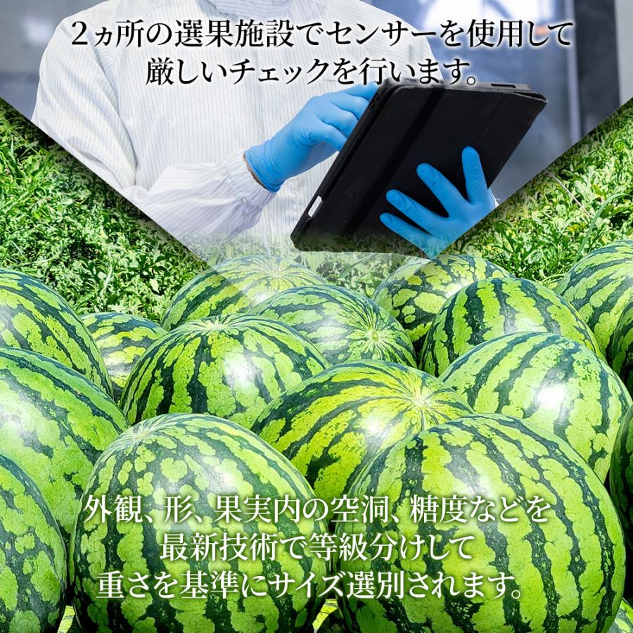 スイカ 大玉 3L 7~9kg Aランク 高級 尾花沢スイカ 山形県産 すいか