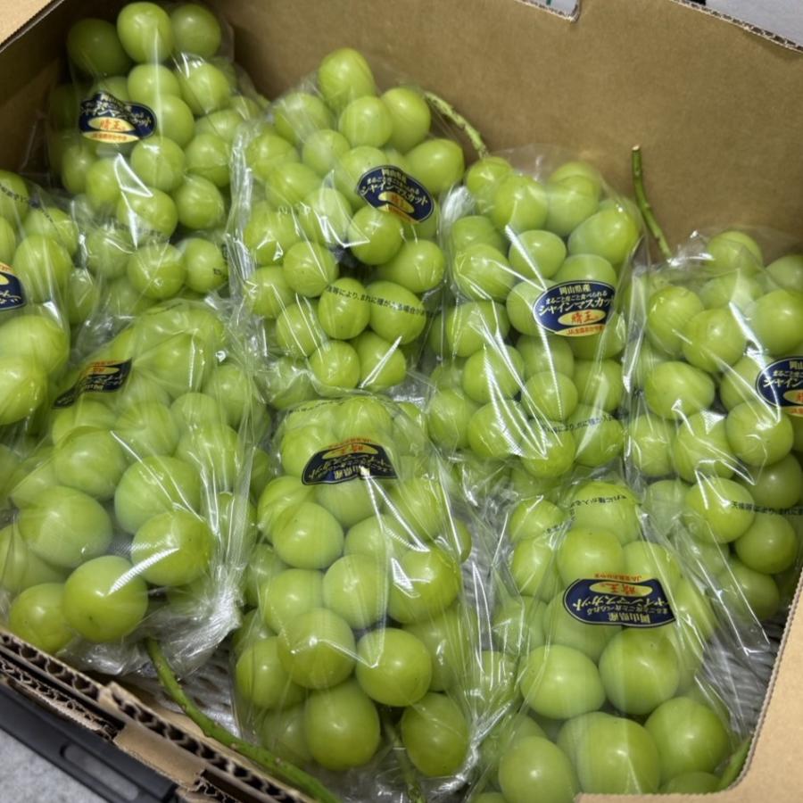 シャインマスカット 晴王 岡山県産 大房 約700g 1房 高級 ぶどう 贈答