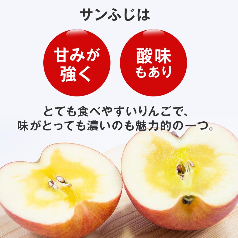 りんご 訳あり 山形県産 サンふじ 5kg 15~20玉 家庭用 バラ詰め リンゴ