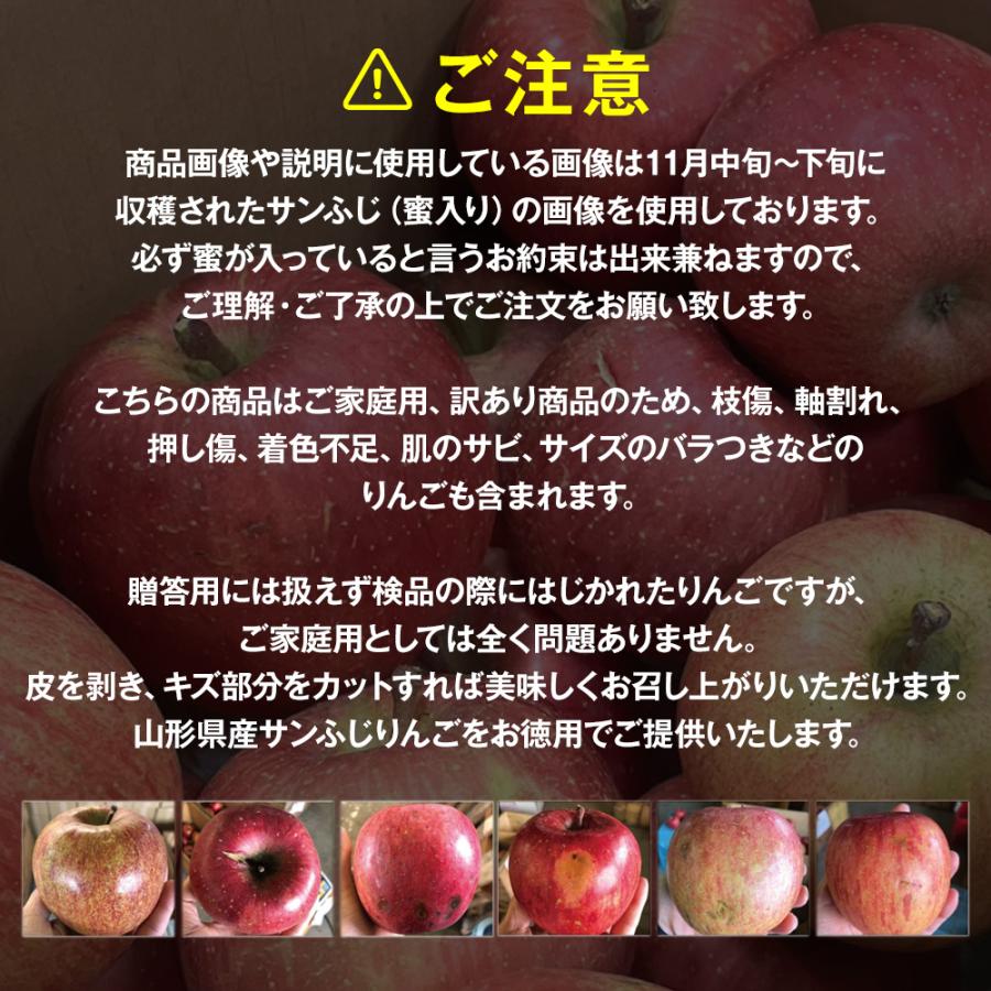 ③ りんご サンふじ 家庭用 20kg バラ詰め 生食可能 訳あり 日時指定不可 りんご 訳あり 山形県産 サンふじ 5kg 15~20玉 家庭用 バラ詰め リンゴ