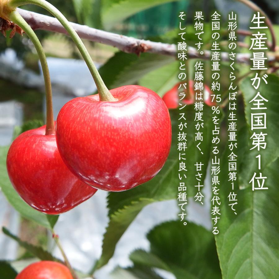 さくらんぼ 佐藤錦 山形県産 秀品 1kg (500g×2) L玉 2L玉 バラ詰め 