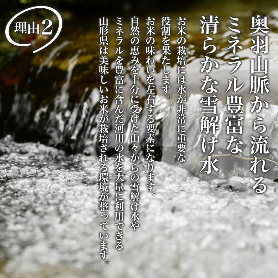 つや姫 精米 10kg (5kg×2) 令和7年産 特A 特別栽培米 山形県産 極上