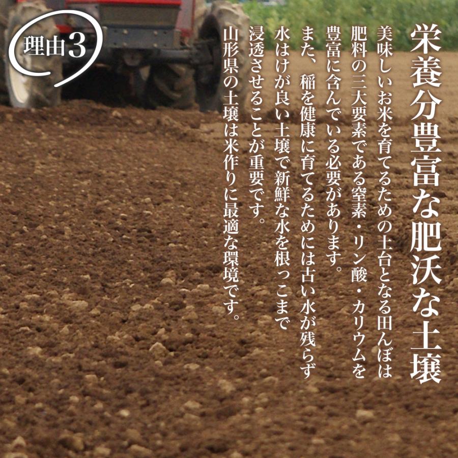 精米 10kg (5kg×2) 令和７年産 特A 特別栽培米 山形県産 極上 つや姫 精米 白米 産地直送の画像