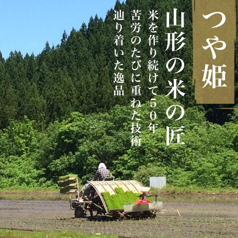 つや姫 精米 10kg (5kg×2) 令和7年産 特A 特別栽培米 山形県産 極上