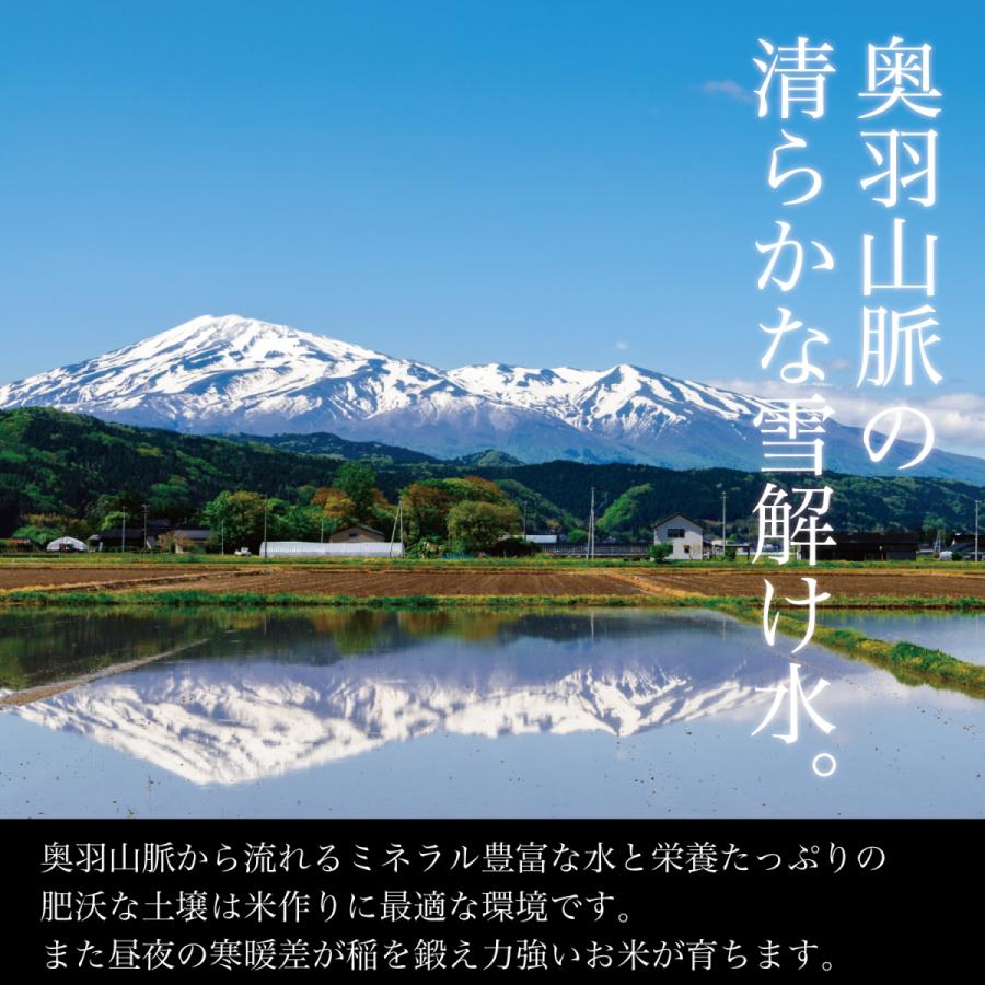 77 以上節約 新米 米 kg 5kg 4 令和3年産 特a 山形県産 極上 雪若丸 精米 白米 産地直送 Www Acabonding Com