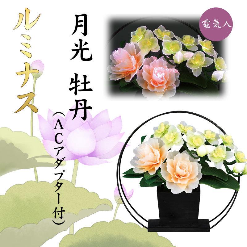 男の子向けプレゼント集結 送料無料 大特価 月光 牡丹 インテリア 新盆 初盆 仏具 盆ちょうちん 盆提灯 提灯 東北 離島へのお届けについて 送料別途1100円 税込 が必要です Populationmalawi Org