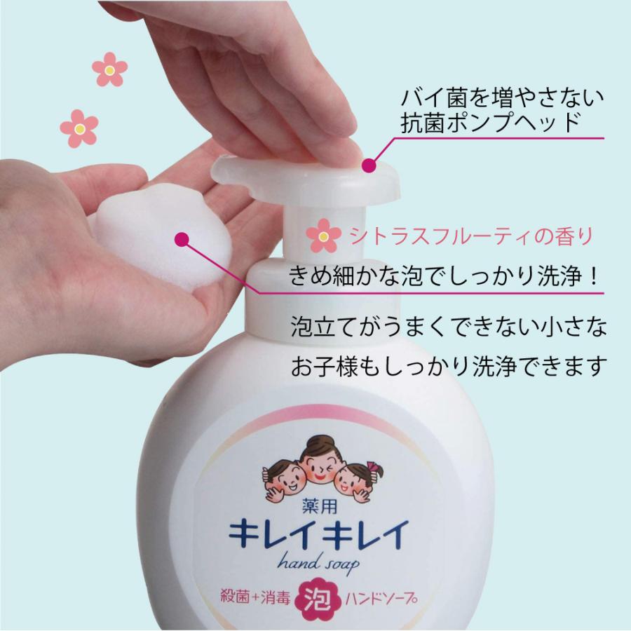 在庫あり キレイキレイ ウイルス対策 除菌 殺菌 消毒 薬用 ハンドソープ 流行のアイテム 泡 6 件分 ギフト 引っ越し お礼 退職 粗品 御礼 転勤 引越し 挨拶 風邪予防