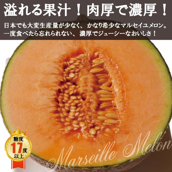 入手困難 島原風香‼️マルセイユメロン‼️甘くて美味しい‼️北海道東北各県沖縄発送不可 島原風香‼️マルセイユメロン‼️甘くて美味しい‼️北海道東北各県沖縄発送不可