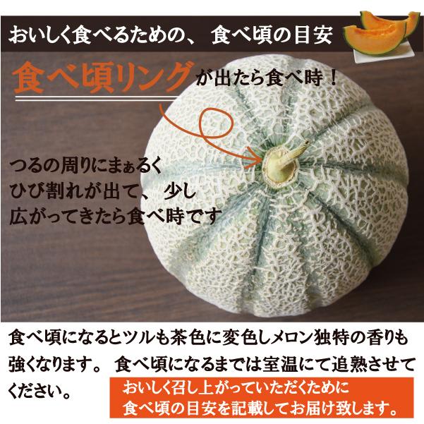 送料無料 産地直送 マルセイユメロン 赤肉 メロン 甘い 島原風香 糖度 17度 以上 希少 長崎県 島原 2l 2玉 大玉 Maruseiyu Furusato 通販 Yahoo ショッピング