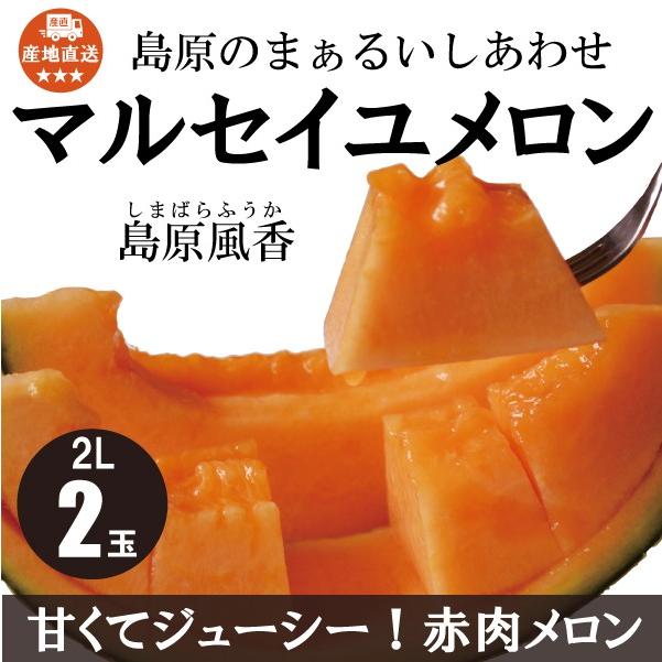 ポイント5倍 メロン マルセイユメロン 送料無料 産地直送  赤肉 甘い 島原風香 糖度 17度以上 2L 2玉｜furusatokikaku｜08