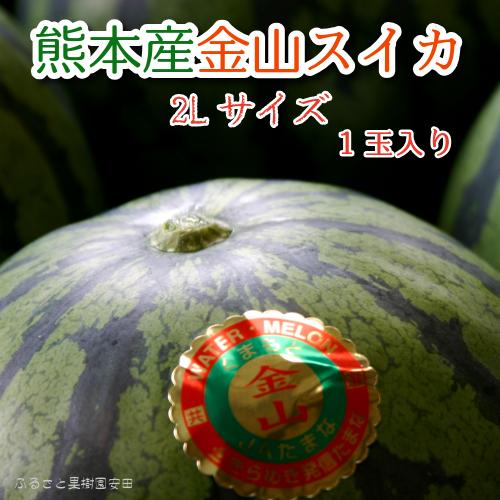 金山スイカ（2Lサイズ）1玉入り 西川さんの金山スイカ 熊本すいか 熊本