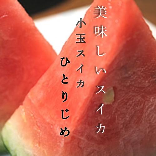 熊本産小玉スイカ3玉入り 熊本 ひとりじめ 熊本産ひとりじめ 植木